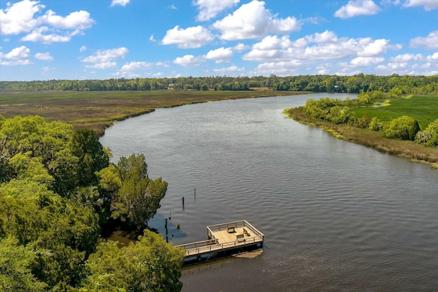 aerial view with a water view and a wooded view