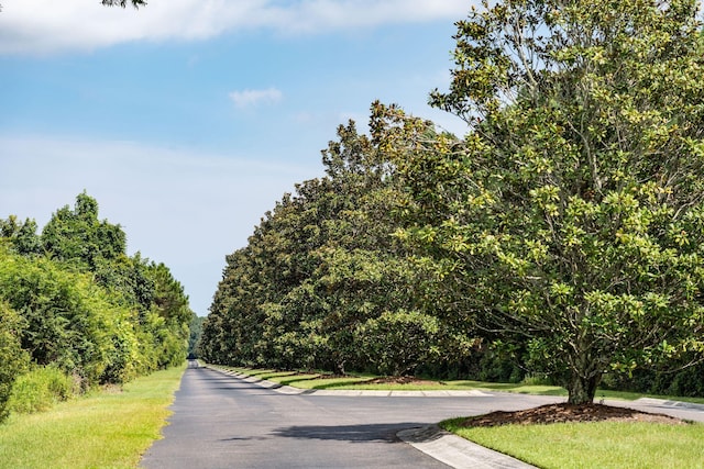 view of road