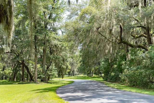 view of surrounding community