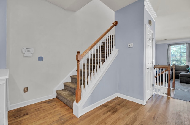 staircase with hardwood / wood-style floors