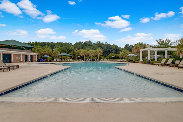 view of swimming pool with a patio