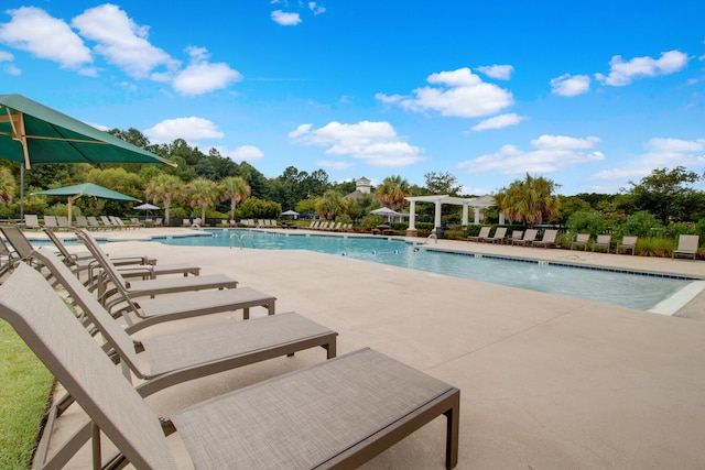 view of pool with a patio