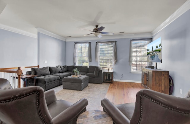 living room featuring ceiling fan, light hardwood / wood-style floors, and ornamental molding