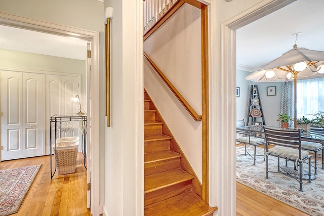 stairway with wood-type flooring and crown molding