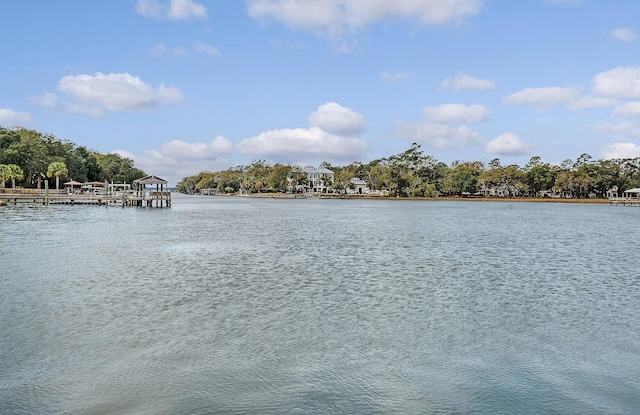 water view featuring a dock