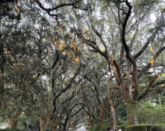 view of nature featuring a view of trees