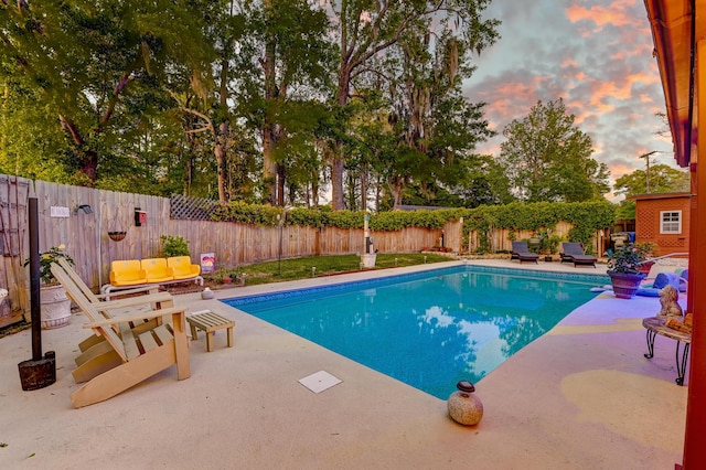 2506 Birkenhead Dr, Charleston, SC 29414 - view of swimming pool featuring a patio area, a fenced in pool, and a fenced backyard