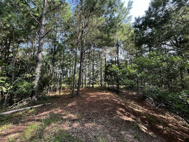 0000 Barwick Rd, Barnwell, SC 29812
