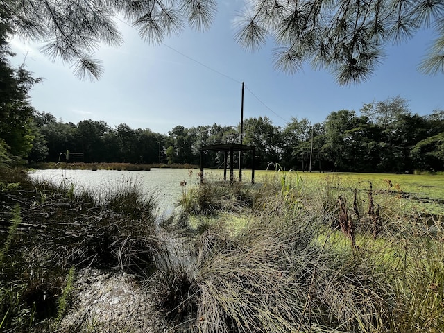 0000 Barwick Rd, Barnwell, SC 29812