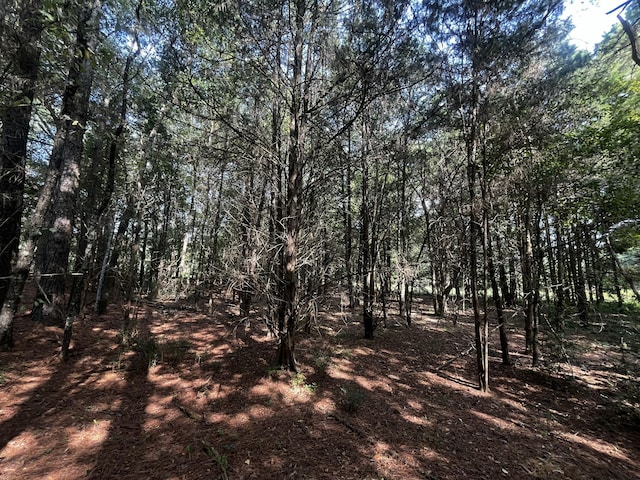 0000 Barwick Rd, Barnwell, SC 29812