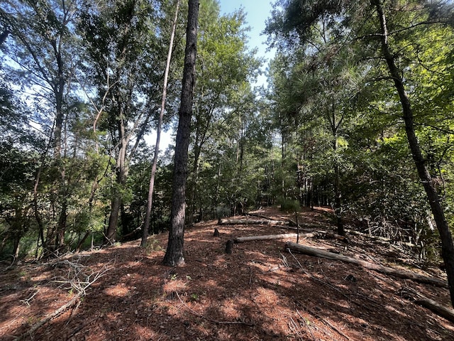 0000 Barwick Rd, Barnwell, SC 29812