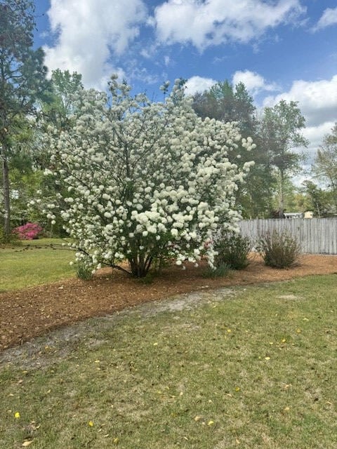 1153 Cherokee Dr, Manning, SC 29102 - view of yard