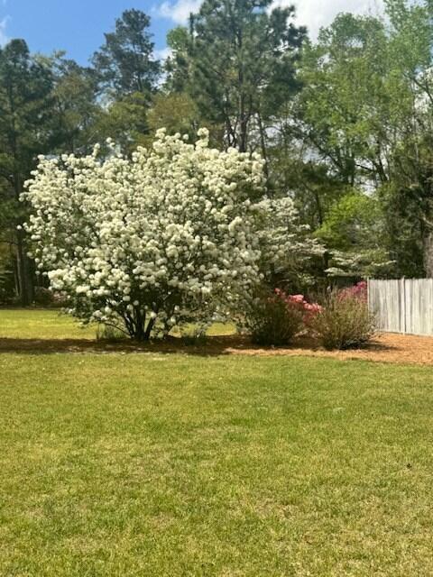 1153 Cherokee Dr, Manning, SC 29102 - view of yard