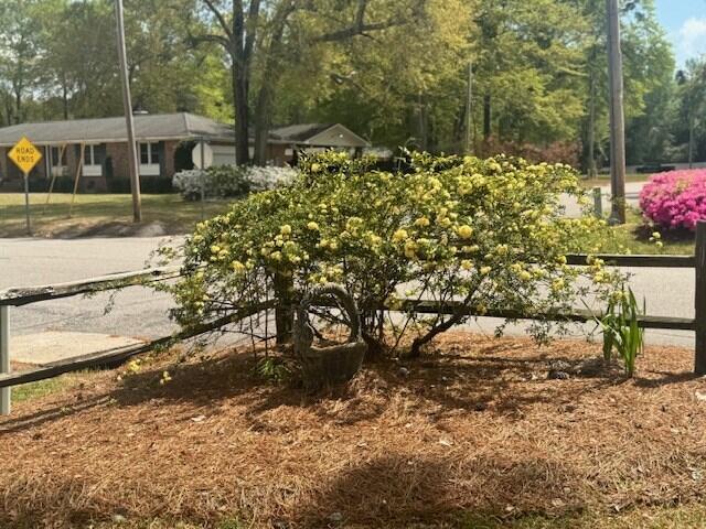 1153 Cherokee Dr, Manning, SC 29102 - view of yard