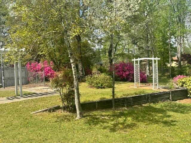1153 Cherokee Dr, Manning, SC 29102 - view of yard
