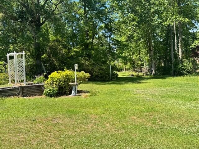 1153 Cherokee Dr, Manning, SC 29102 - view of green lawn