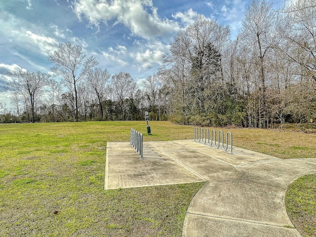 1576 Nautical Chart Dr, Charleston, SC 29414 - view of green lawn