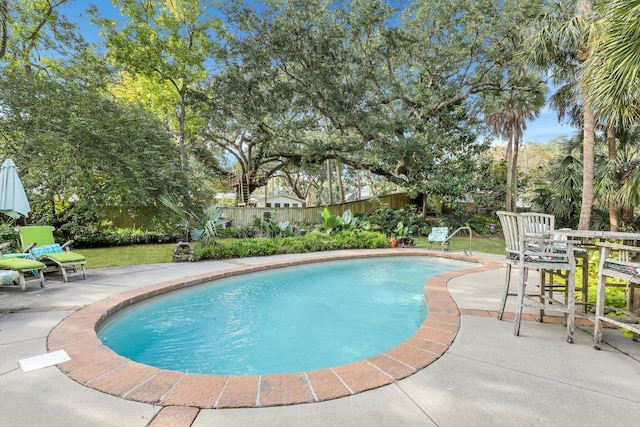 view of swimming pool with a patio