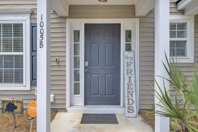 1005 Washitonia Way Unit B, Charleston, SC 29492 - view of entrance to property
