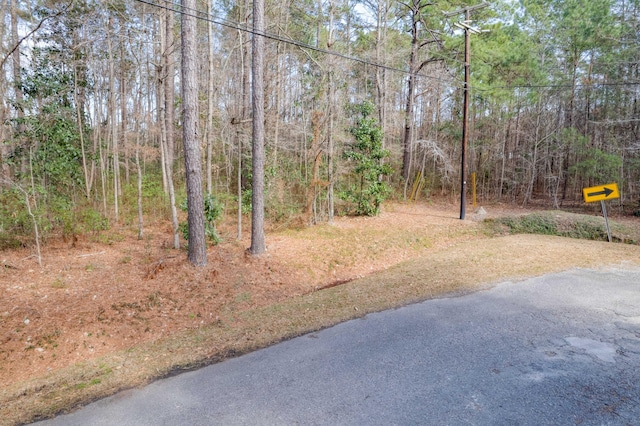 Listing photo 3 for 0 Picadilly Loop, Summerville SC 29483