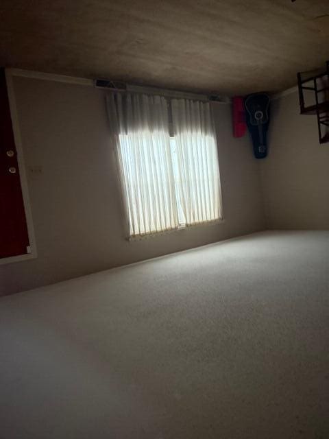 unfurnished room with carpet floors