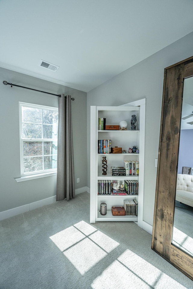 bedroom with light carpet