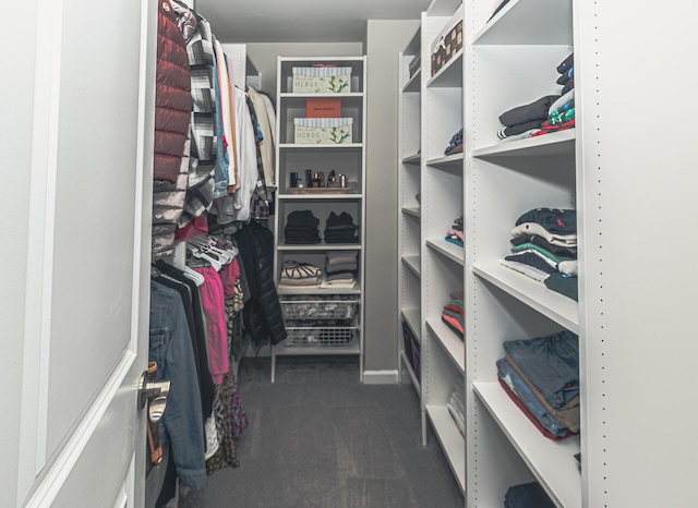 walk in closet with dark colored carpet