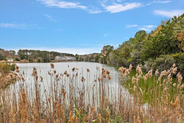 view of water feature featuring a forest view