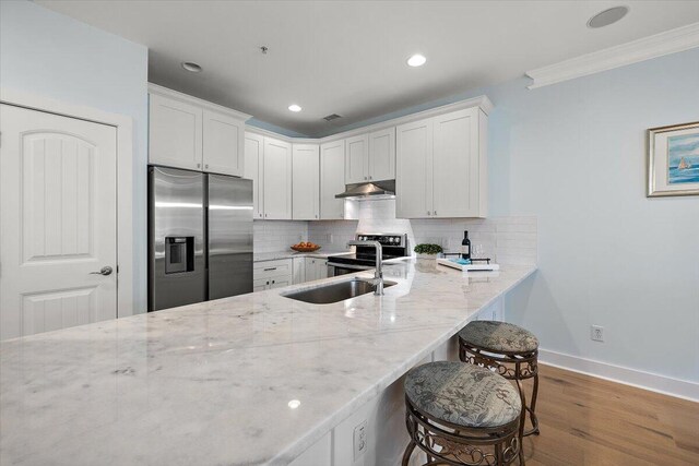 kitchen with light stone counters, backsplash, appliances with stainless steel finishes, a sink, and under cabinet range hood