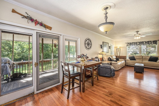 dining room featuring a textured ceiling, wood-type flooring, healthy amount of natural light, ornamental molding, and a ceiling fan