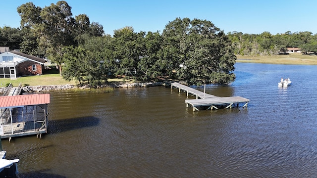 dock area with a water view