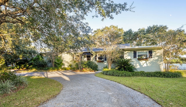 ranch-style house featuring stucco siding, a front lawn, and driveway