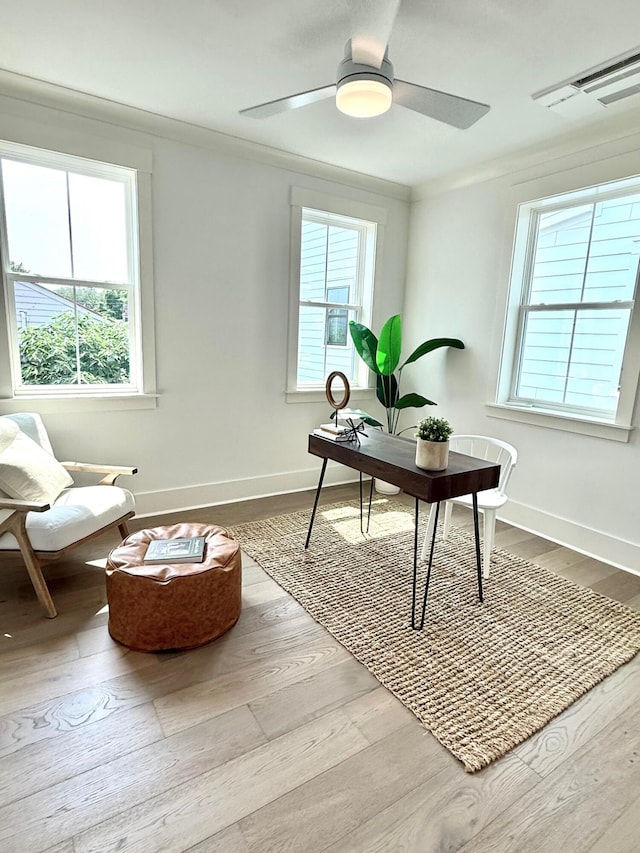 30 Nats Ct, Charleston, SC 29403 - home office featuring healthy amount of natural light, wood finished floors, a ceiling fan, and crown molding