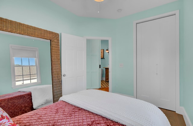 bedroom featuring wood-type flooring and a closet