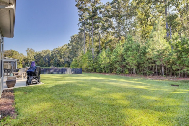 view of yard featuring a patio area