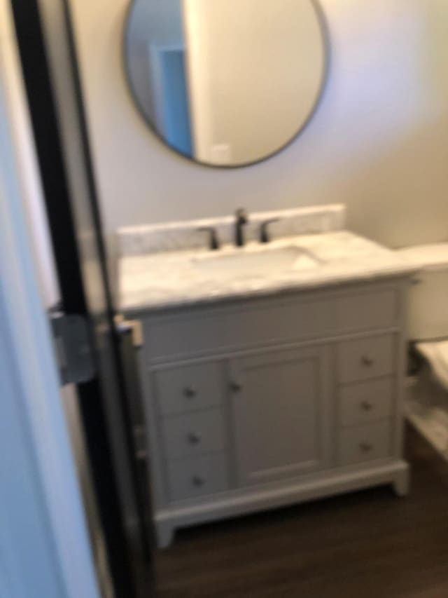 bathroom with vanity and wood finished floors