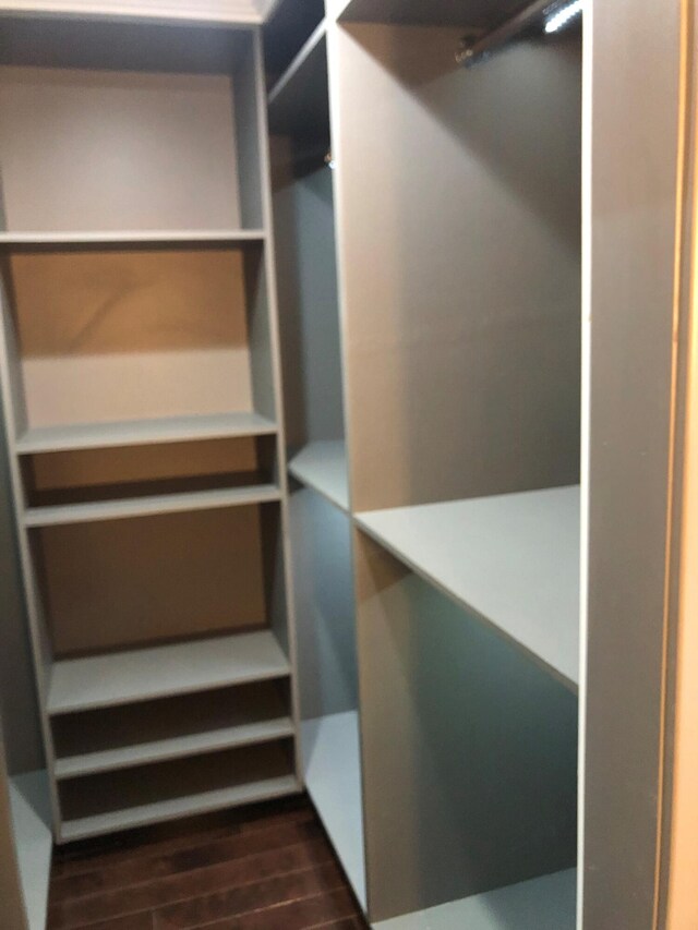 spacious closet with dark wood finished floors