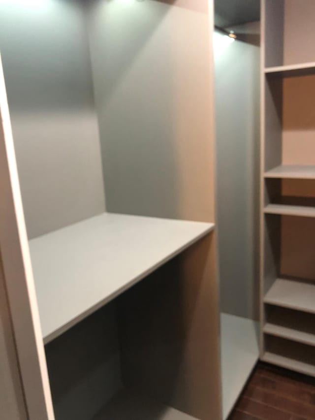 spacious closet featuring dark wood finished floors