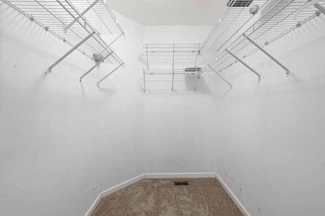 walk in closet featuring carpet flooring and visible vents