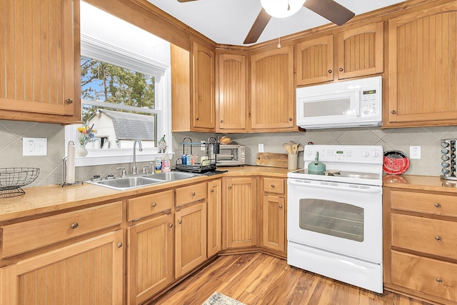 kitchen featuring tasteful backsplash, light wood-type flooring, sink, white appliances, and ceiling fan