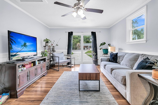 living room with ceiling fan, a textured ceiling, hardwood / wood-style flooring, and ornamental molding