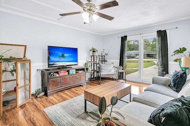 living room with light wood-type flooring, a textured ceiling, ceiling fan, and crown molding