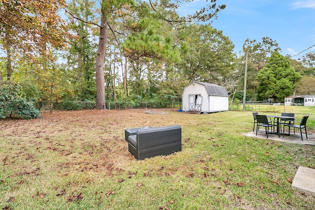 view of yard with a patio and a storage shed