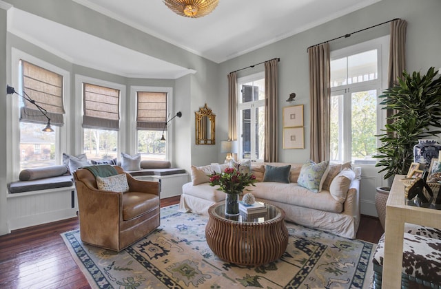 living room with ornamental molding and dark wood-type flooring