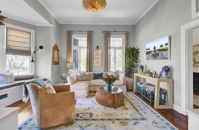 living room with dark hardwood / wood-style floors, a wealth of natural light, and ornamental molding