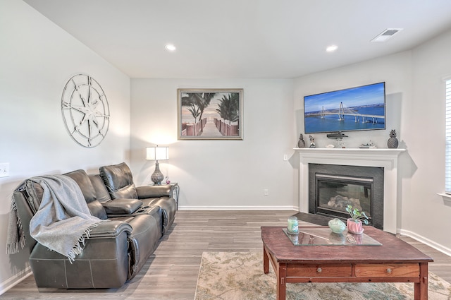 living room featuring hardwood / wood-style floors and a healthy amount of sunlight