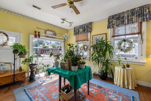 sitting room with wood-type flooring and ceiling fan