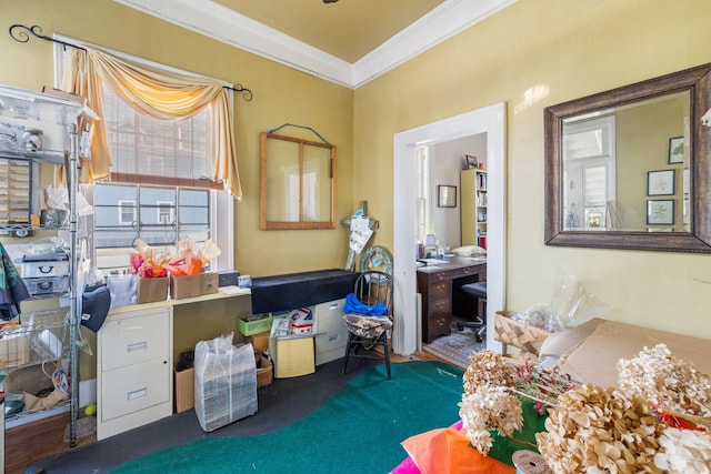 interior space featuring dark wood-type flooring and crown molding