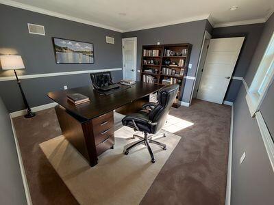 office space featuring visible vents, ornamental molding, baseboards, and carpet floors