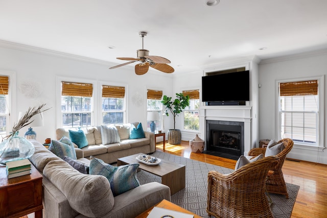 living room with a wealth of natural light, a tiled fireplace, and light hardwood / wood-style floors